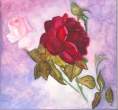 rose.jpg