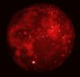 LUNARECL_MSX_BIG.JPG