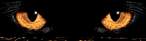 eyesmean.gif