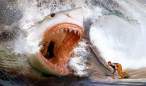 jaws.jpg