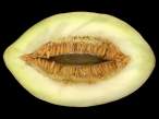 toothy_melon_smile.jpg