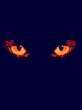 031008_chat_yeux.gif