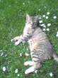 Picture 0137.jpg