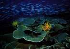deep blue sea 3.jpg