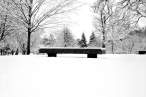 bench_298.jpg