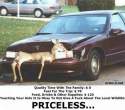 priceless_-_deer_hunter.jpg