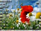 desktop.jpg