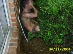 naked_in_bush.jpg
