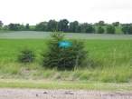 tree_sign.jpg