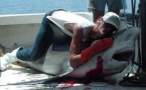 shark_humper.jpg