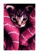 Keep_Me_Warm__by_maryfaery.jpg