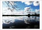 flood by Shooga.jpg