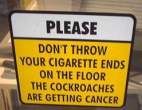 cockroaches_get_cancer_0702.jpg