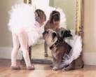 ballet.jpg
