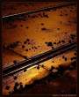 LonelyTracks.jpg