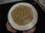 chapati4785.jpg