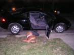 At least she passout out in her own lawn.jpg