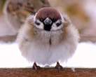 What are you looking at.jpg