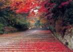 Autumn [extra] 04.jpeg