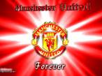 united_forever1.jpg