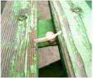 Snail gymnast [extra] 05.jpg