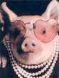 lovepig.jpg