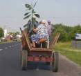 Transport.jpg