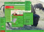 Windows - Belorusian way.jpg
