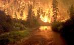 Forest Fire.jpg