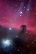 cosmos_2.jpg