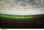 cosmos_8.jpg
