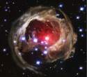 cosmos_12.jpg