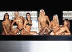 My Private Bar Maids [18+].jpg