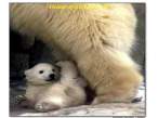 Mommy.jpg