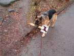 Dog-sign.jpg