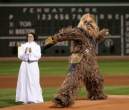 Chewbacca Pitch.jpg