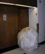 Huge Snowball.jpg