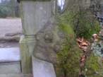 Tree.jpg