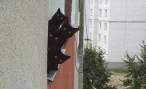 Dont Fall, Kitties!.jpg