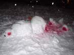 Dead Snowman.jpg