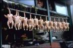 naked chicks.jpg