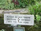 Please Dont Throw.jpg