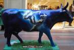 crazy_cows7.jpg