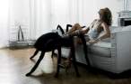 Spider.jpg