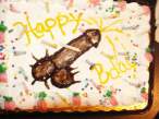 Happy b day.jpg