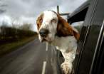 On the road.jpg