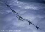 wing1.jpg