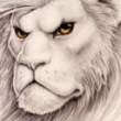 Lion.jpg