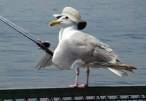 Fishing.jpg