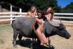 ranch girls.jpg